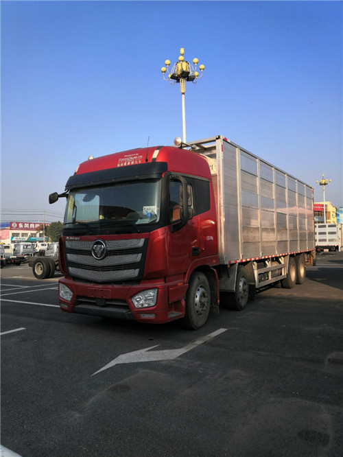國(guó)六歐曼前四后八歐曼畜禽運(yùn)輸車選歐曼，營(yíng)運(yùn)、環(huán)保齊全，提供整車合格證